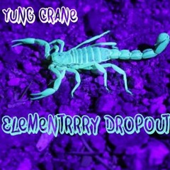 Elementrrry Dropout (Lil Pump Type) [Freebeat]