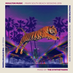 Miami South Beach Session 2019 mixed by The SyntheTigers