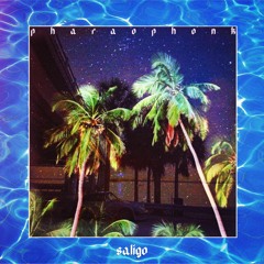 1 SALIGO- ORANGE PLANE