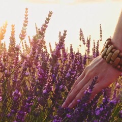 2025 Acoustic stories Re-imagined.WAV