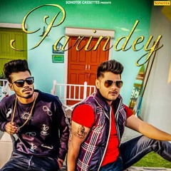 PARINDEY (OFFICIAL) _ SUMIT GOSWAMI _ SHANKY GOSWAMI _ New Haryanvi Songs Haryan.mp3