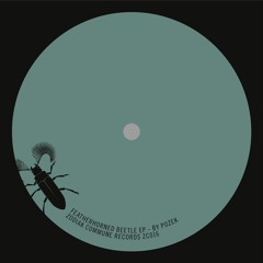 ZC016 - Pozek - HXT/2 - Featherhorned Beetle EP - Zodiak Commune Records