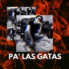 Pa' Las Gatas (VIP)