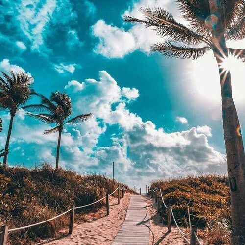 Malik Mustache, N.E.O.N, Vinne - Rock U Feat. Samantha Nova (THE CRAB Remix) [free Download]