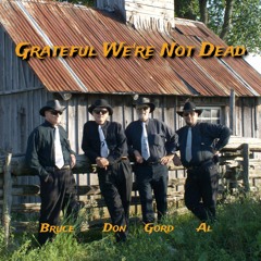 Grateful We're Not Dead