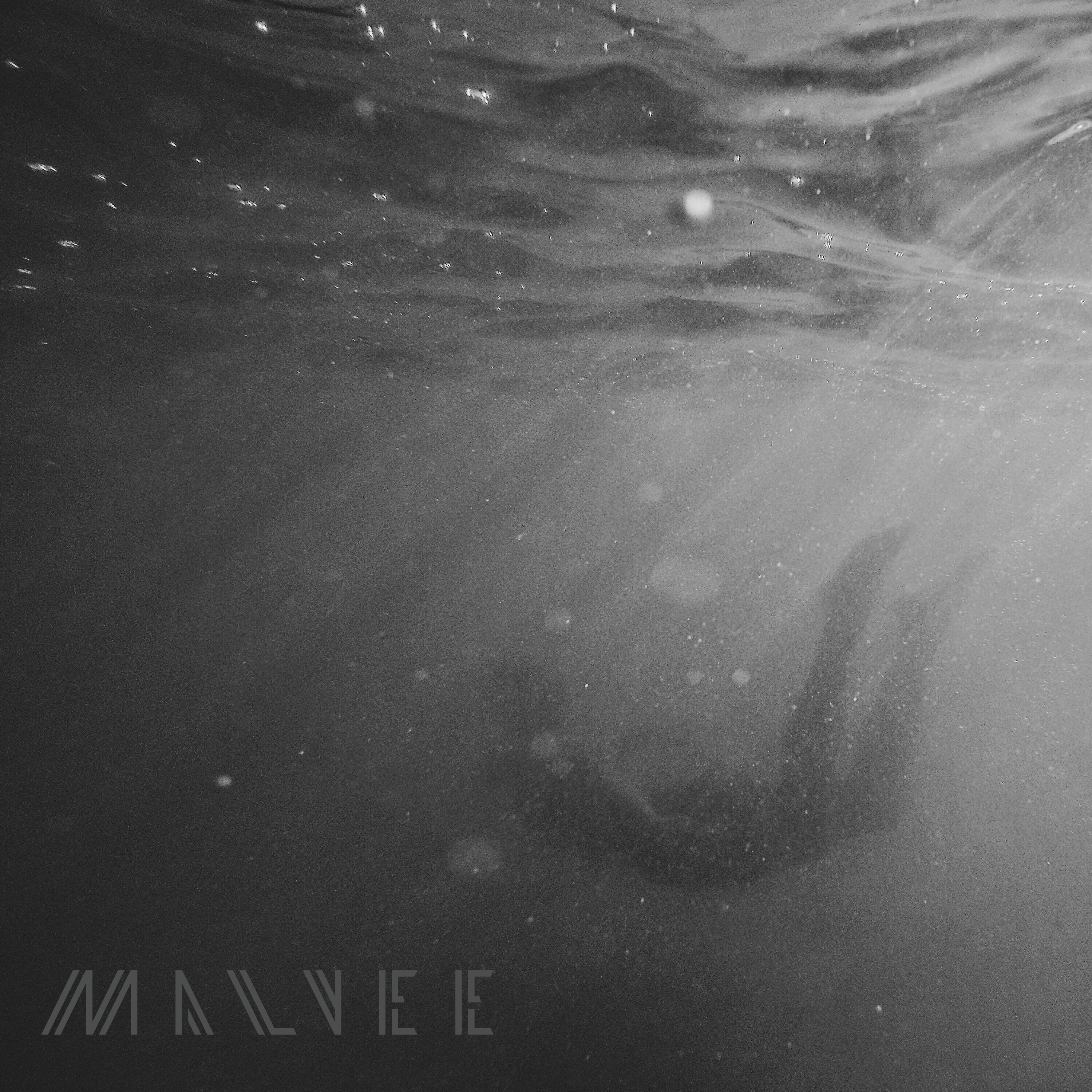 malvee