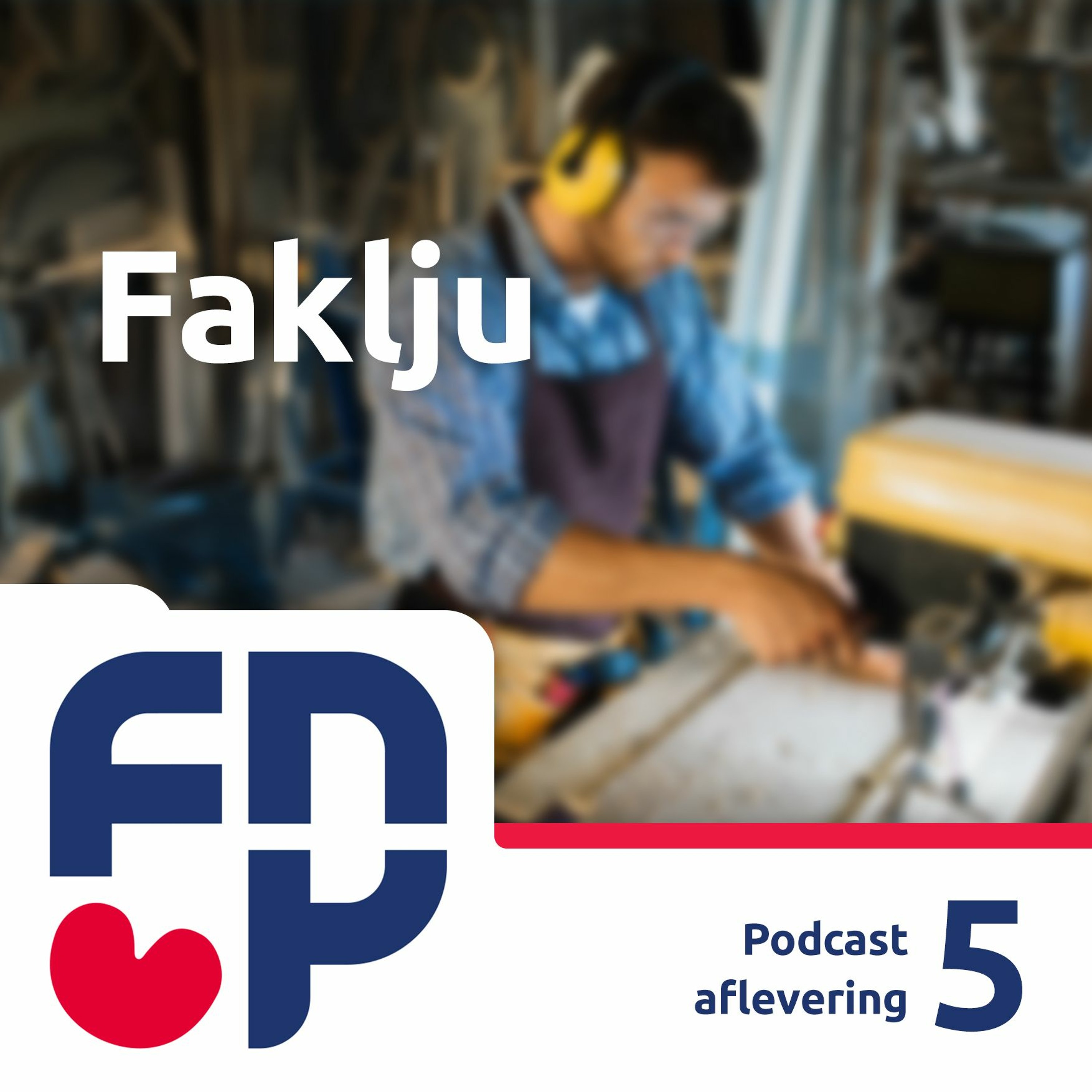 FNP Fryslân