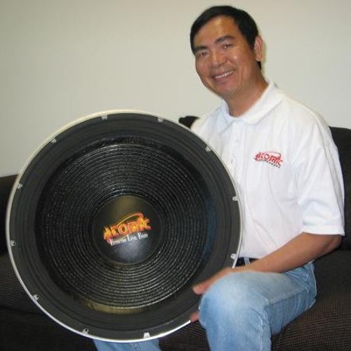 24 inch subwoofer