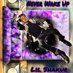 Lil Shakur - Never Wake Up