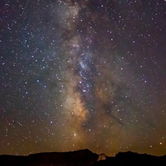 Strange - The Dalliant