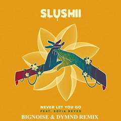 Slushii - Never Let You Go Ft. Sofia Reyes (BigNoise & DYMND Remix)