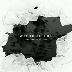 Avicii feat. Sandro Cavazza - Without You(Roashan Remix)