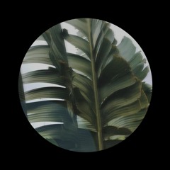Palmeras (LIFE2979光 Rework)