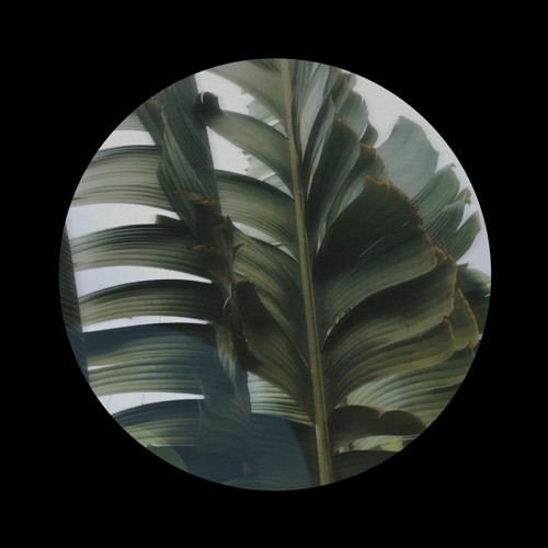 Palmeras (LIFE2979光 Rework)