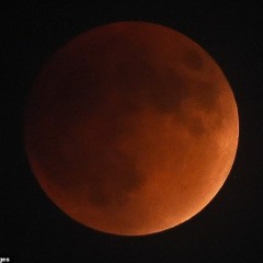 Less Than Sixty ft Sippy cup, james