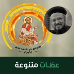 الاحد الاول من الصوم الكبير - أحد الكنوز - أبونا داود لمعي