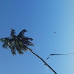 Uyiril thodum - kumbalangi acoustic vesion