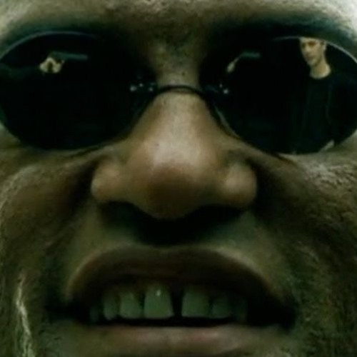 PUT HIS ASS IN THE MATRIX