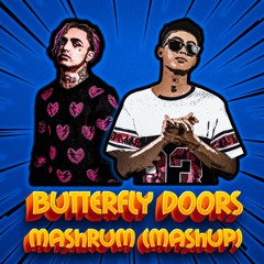 Butterflys Doors - DJ Mashrum Mashup