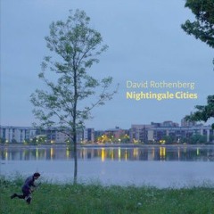 Nightingale Cities | David Rothenberg