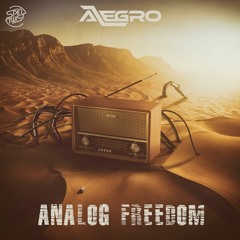 Alegro - Analog Freedom (Demo) [SpinTwist Records]