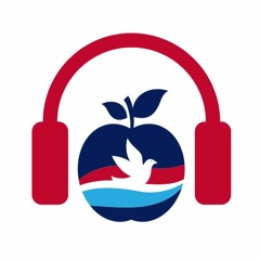 Episode 15 - Peter's $#!{{? Day