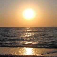 Вечірнє сонце, дякую за день. Ліна Костенко - Brutto