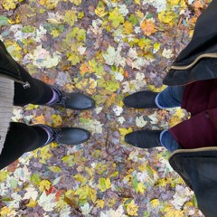 Hello, I’m In Marion