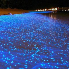 Bioluminescent Waves(Rough mix(work still in progress))