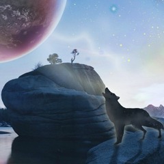 The acidic crossing (Short live 2019 Extract)