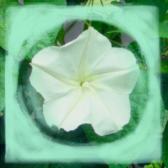 Gundelach - The Moon Is a Harsh Mistress