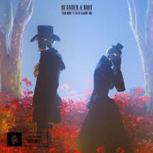 SLANDER & RIOT - You Don't Even Know Me (Mtell Hardcore Bootleg)
