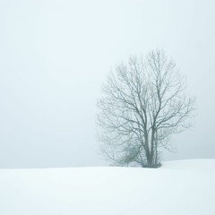 winter's solitude.