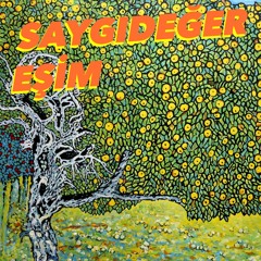 Saygideger Esim 17 Mart 2019