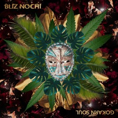 Bliz Nochi - Vesna