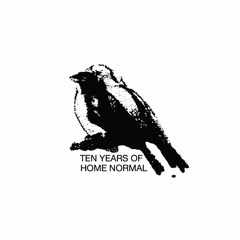Music For Whales - Ten years of Home Normal