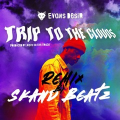 Evans Desir - Trip to the clouds (Skand Beatz Remix)