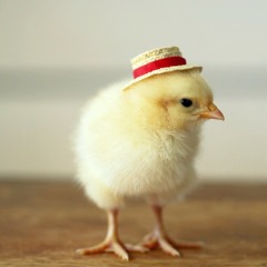 Chris Adwar and the Villagers - Kenchic (Hendrick Rework)