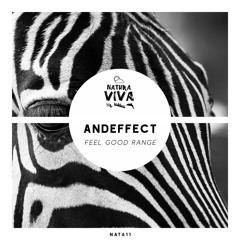 Andeffect - Feel Good Range (Original mix)