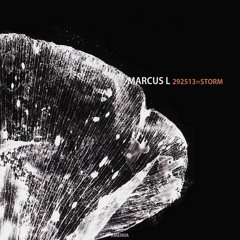 B1. Marcus L - STORM