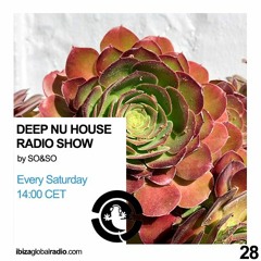 Ibiza Global Radio - Deep Nu House by SO&SO Episode 028