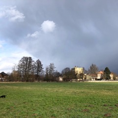 What I Still Wanted To Say...