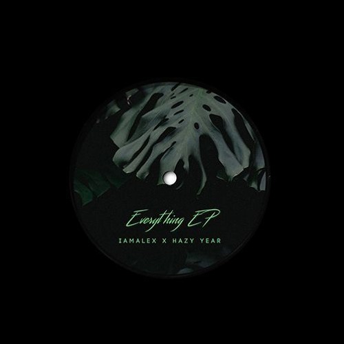 iamalex x Hazy Year - Discobois (Limited Vinyl)