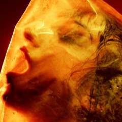 PT Barnum (prod. einveru)