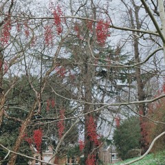 She didn't say hi. 2017