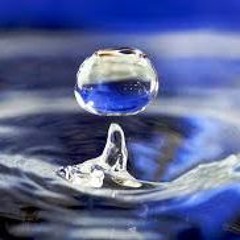 Something In The Water