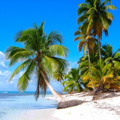 Palmtrees