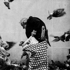 إلى حفيد المتنبي | عبد اللطيف بن يوسف