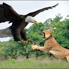 Bhubesi + Damola + (i think Iko is involved) - Siya Phuza