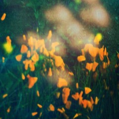 Earl Sweatshirt x Mick Jenkins Type  Beat - "Fuego Box"